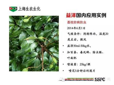 生農(nóng)益澤酯化植物油增效劑應用案例解析 提升農(nóng)藥效能的關(guān)鍵助力